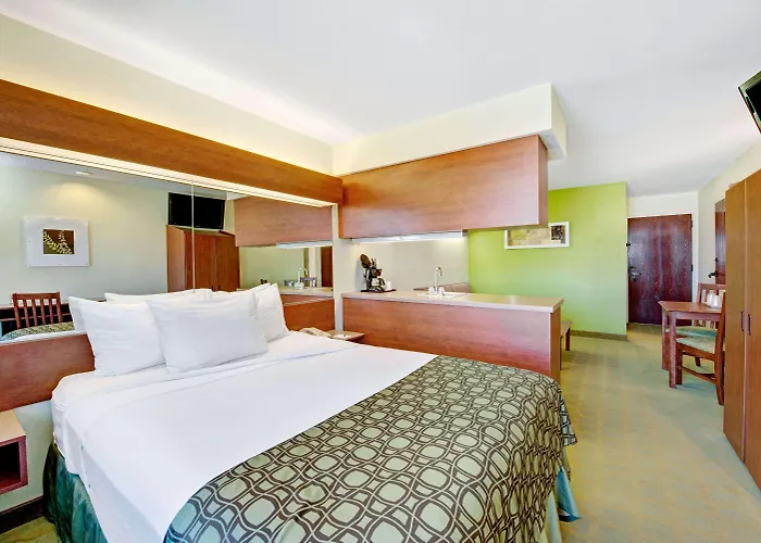 Super 8 By Wyndham San Antonio Airport North