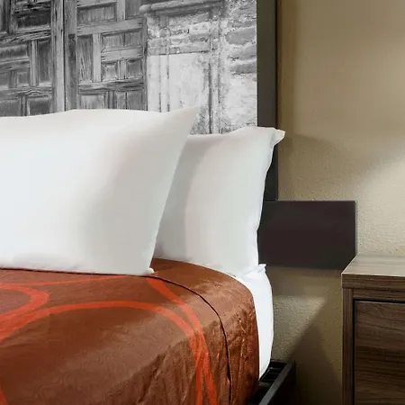 Hotel Super 8 By Wyndham San Antonio Airport North Extérieur photo